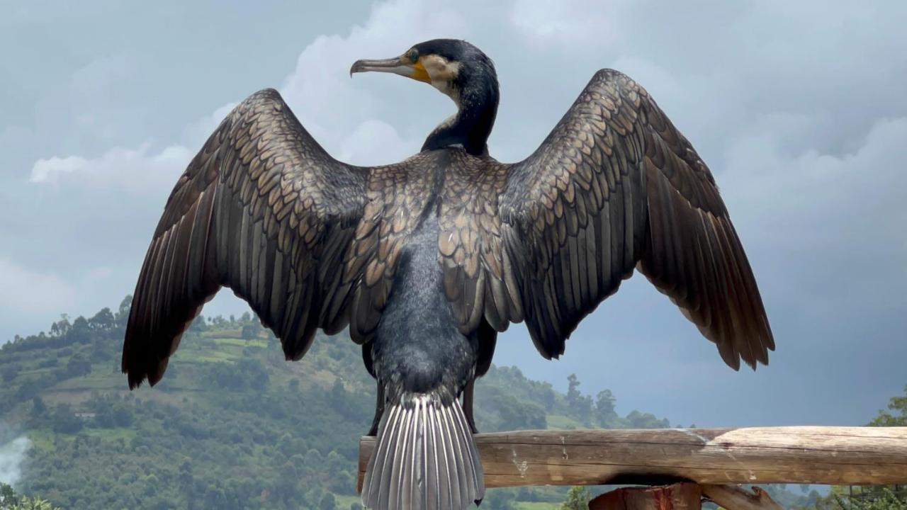 Lake Bunyonyi Rock Resort Kabale Экстерьер фото