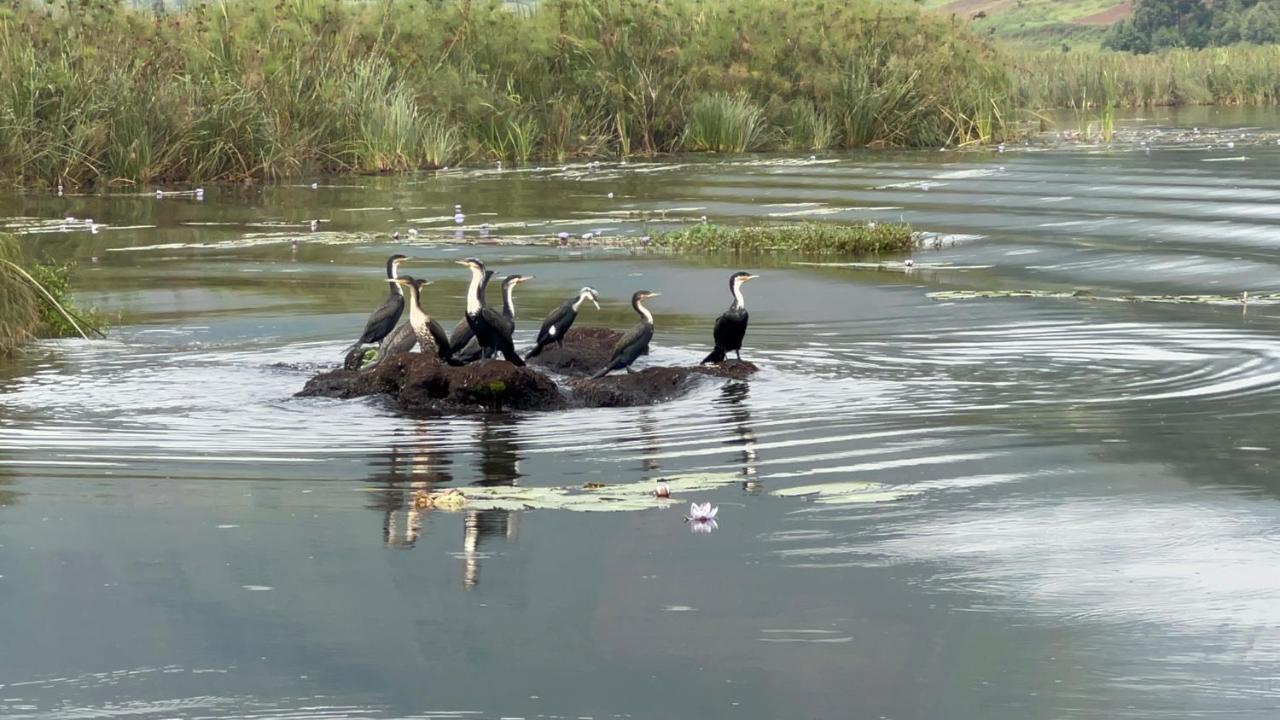 Lake Bunyonyi Rock Resort Kabale Экстерьер фото